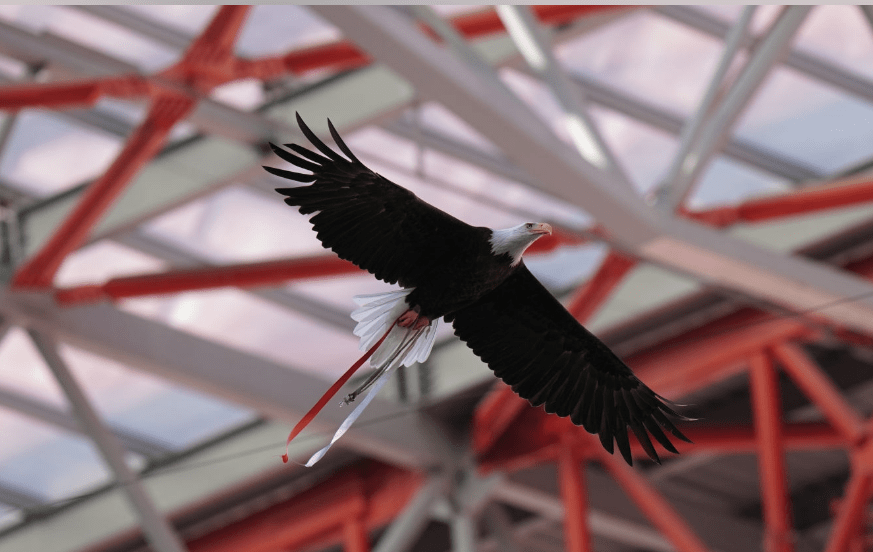 赛前孟菲斯灰熊官宣签约——葡超节点到来，悬念犹存，资深球员宣示担当(孟菲斯灰熊vs芝加哥公牛)